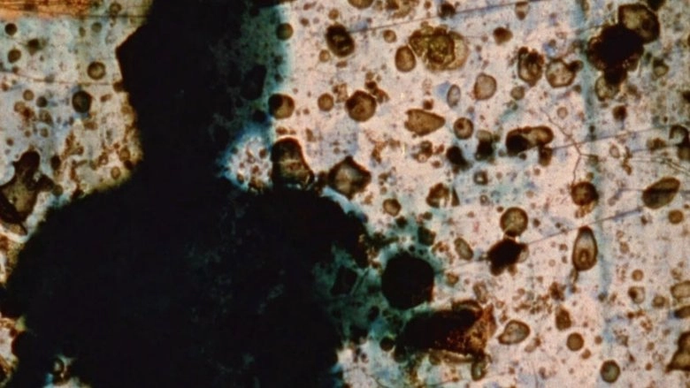 23rd Psalm Branch (1967)