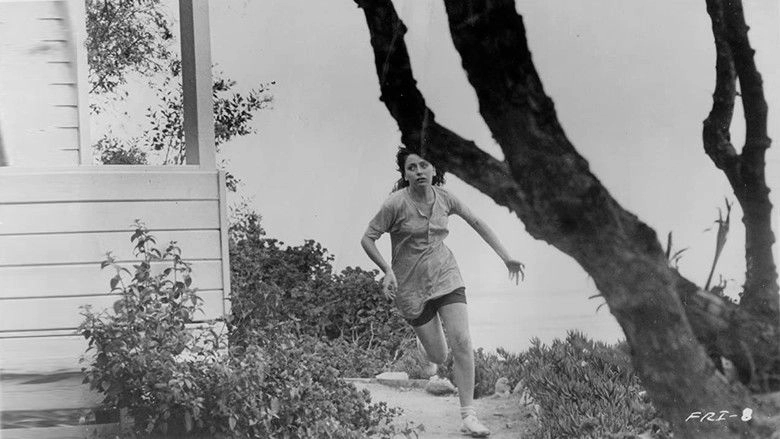 Terror At Red Wolf Inn (1972)