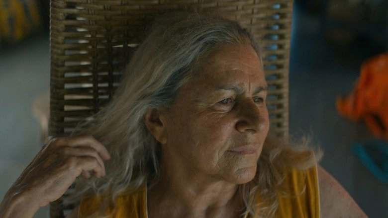 O Ultimo Azul (2025)