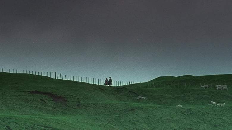 An Angel At My Table (1990)