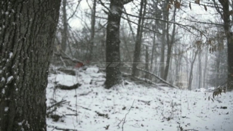 Element Of Survival (2014)