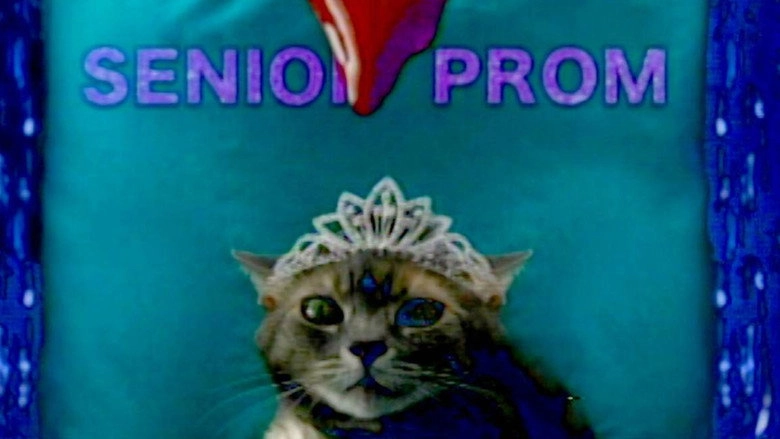 She's Allergic To Cats (2016)