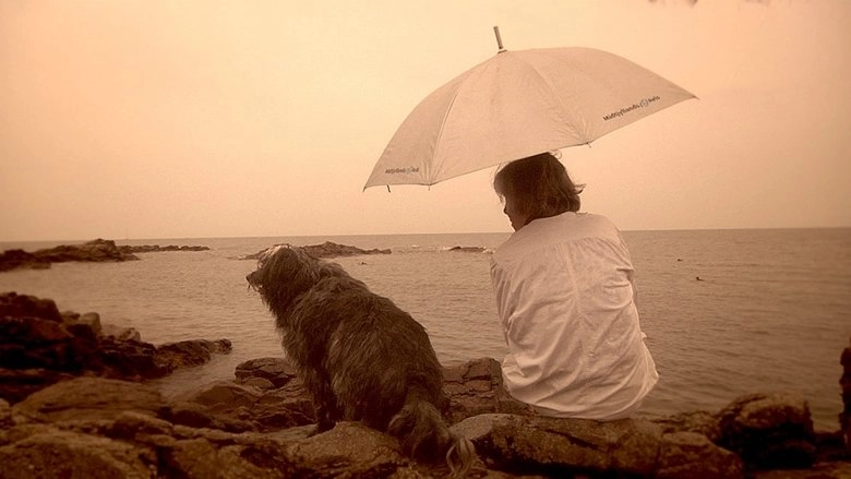 Shadow Of A Hero (2015)