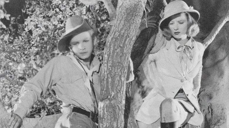 Tim Tyler's Luck (1937)