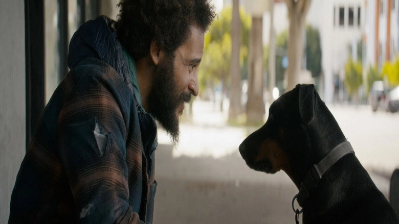 Rescued (2026)