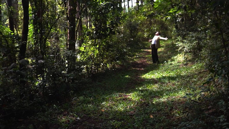 Cidade Natureza (2022)