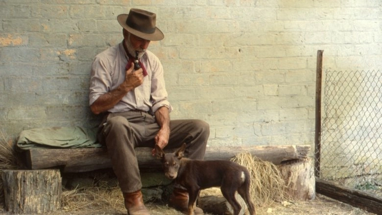 Dusty (1983)
