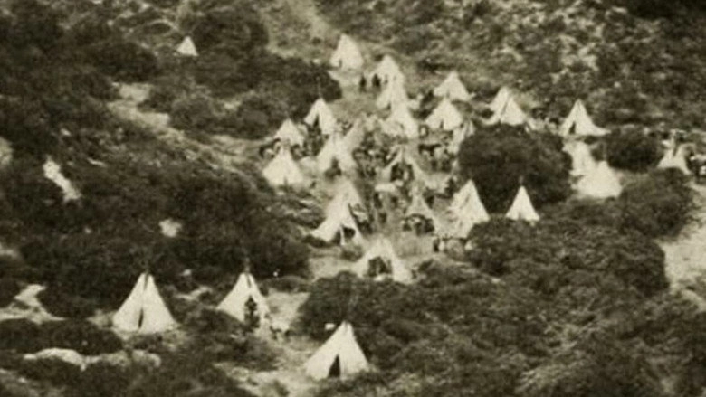 In The Days Of The Thundering Herd (1914)