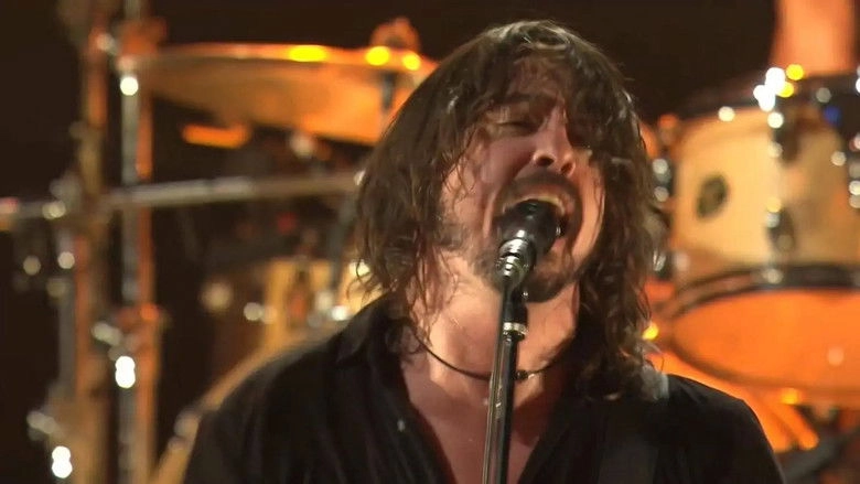 Foo Fighters - Live In London (2011)