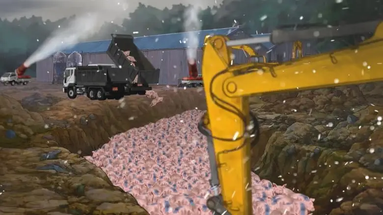 Pig That Survived Foot-and-Mouth Disease (2024)