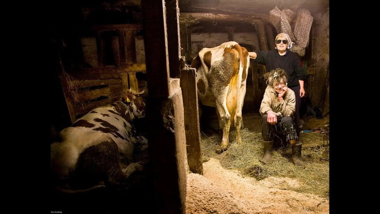 Women With Cows (2011)