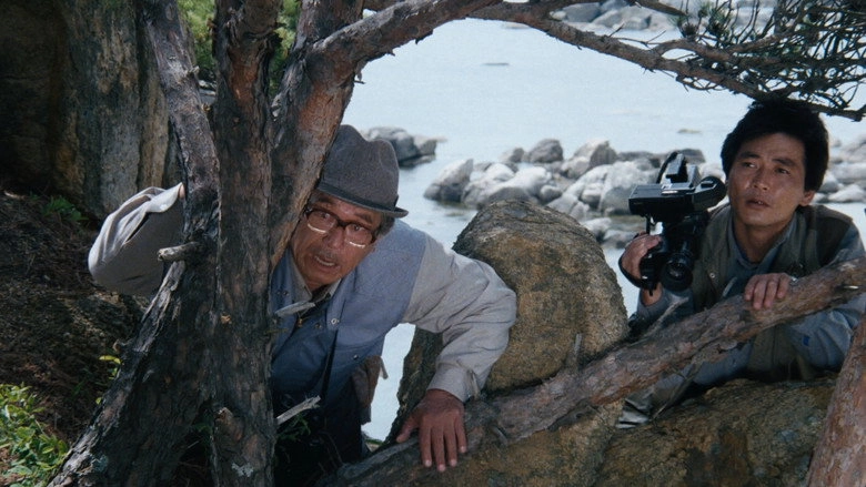 Birds (1992)