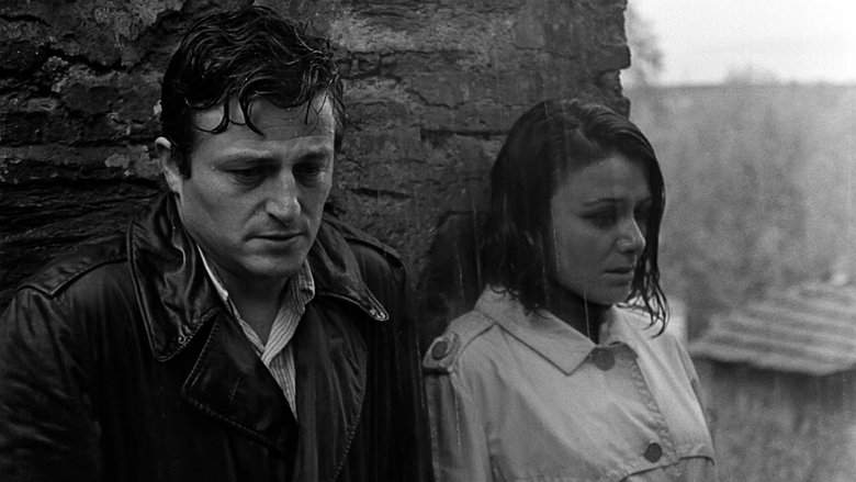 Time To Love (1965)