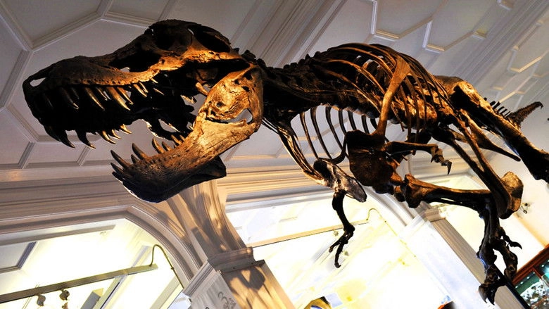 How To Build A Dinosaur (2011)