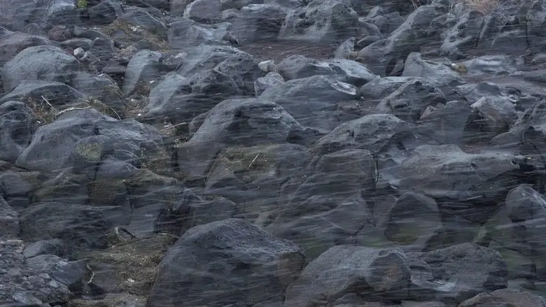 Until The Stones Speak (2024)