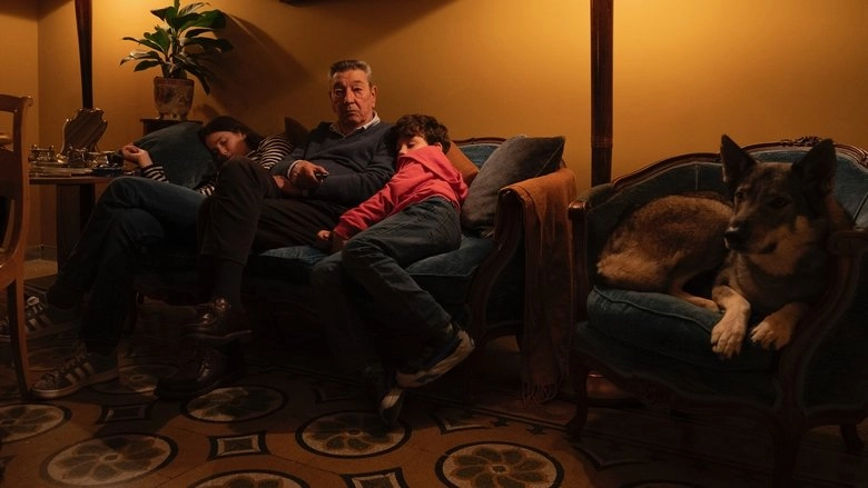 Come Ti Muovi, Sbagli (2025)