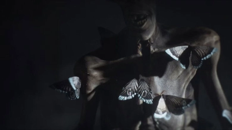 Moths (2026)
