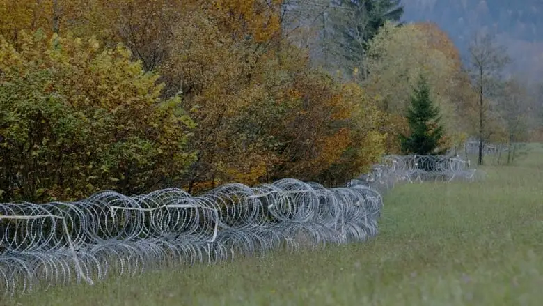 The Wire (2021)