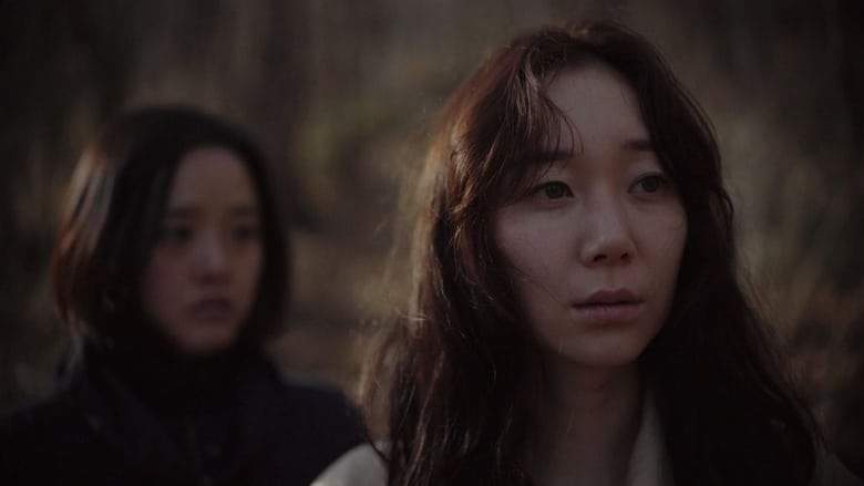 Nothing Or Everything (2018)