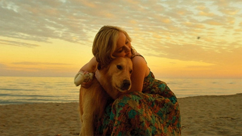 Good Boy (2011)