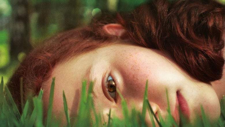 Jack Of The Red Hearts (2016)
