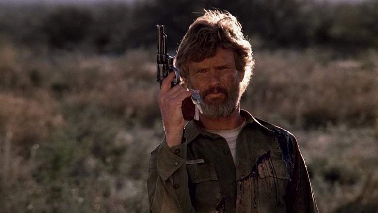 Flashpoint (1984)