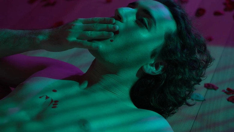 O Bosque Dos Sonambulos (2017)