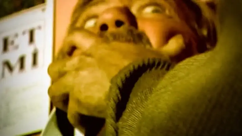 Kurban Bayrami (2008)