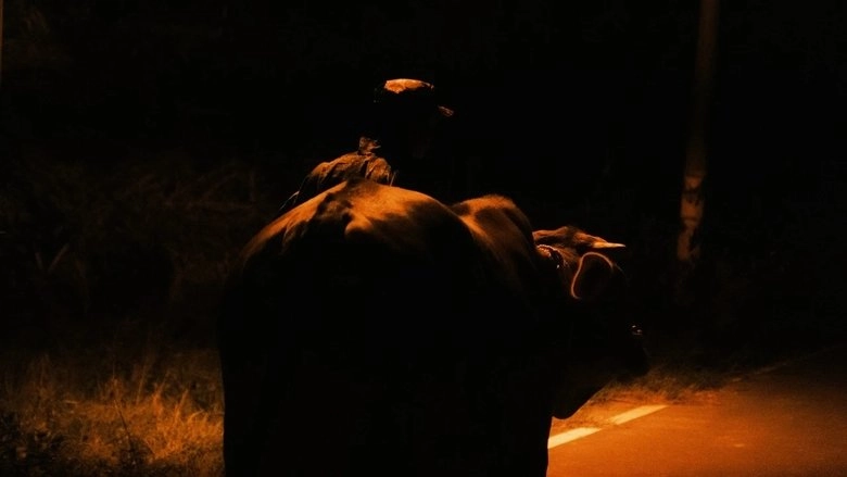 This Is NOT My Cow (2025)