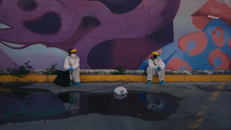 Operation Gingham (2020)