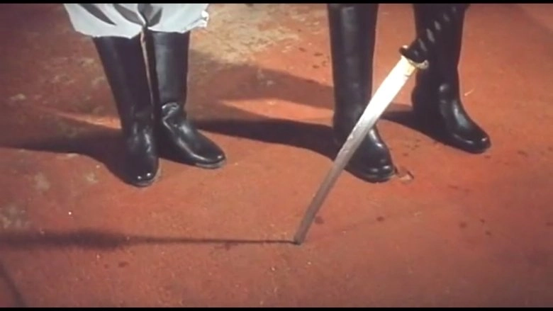 Er Shi Yi Hong Se Ming Dan (1994)