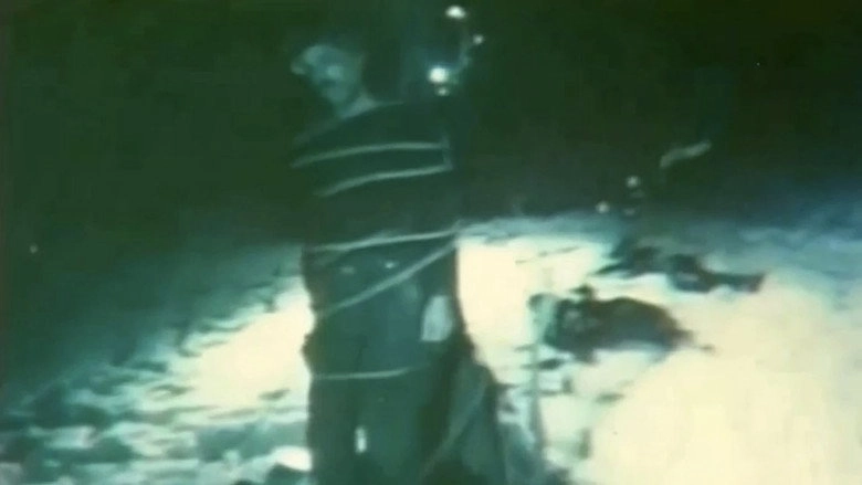Haray (1993)