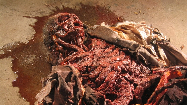 Cryptic Plasm (2015)