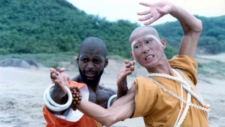 Shaolin Dolemite (1999)