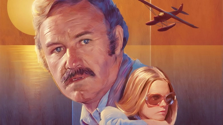 Night Moves (1975)