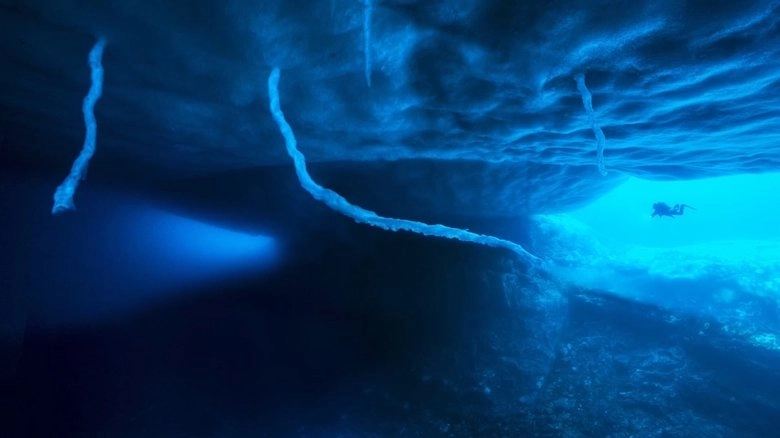 Antarctica, Sur Les Traces De L'empereur (2016)