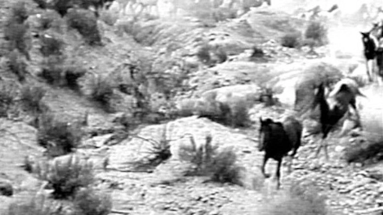The Fighting Stallion (1926)