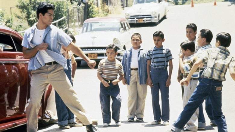 My Family/Mi Familia (1995)
