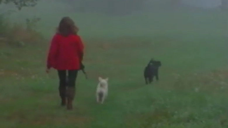 A Video Visit With Lynne Cherry (1998)