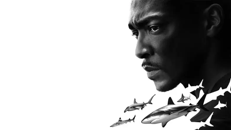 Shark Beach With Anthony Mackie (2024)