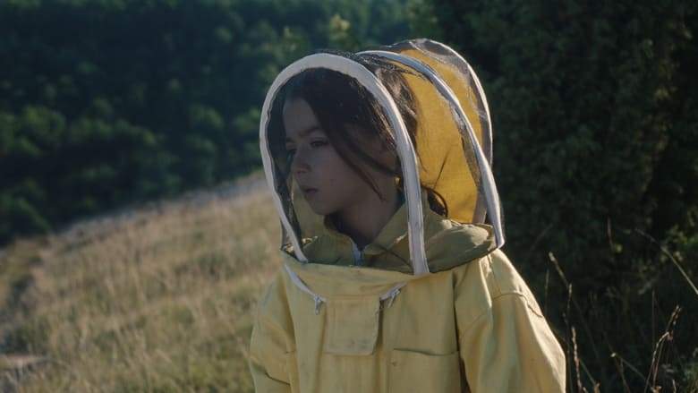 20,000 Species Of Bees (2023)