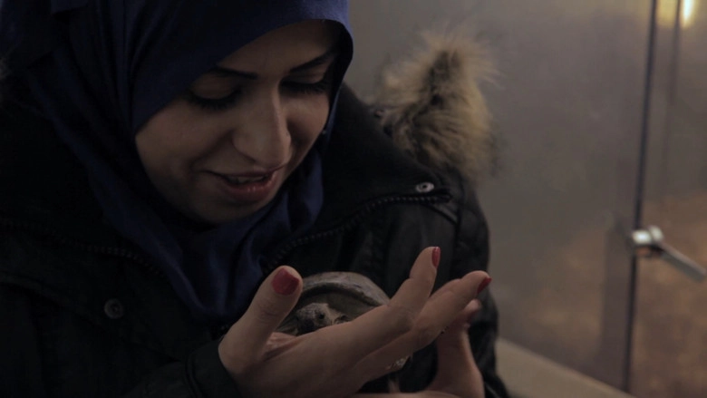 Turtle Shells (2017)