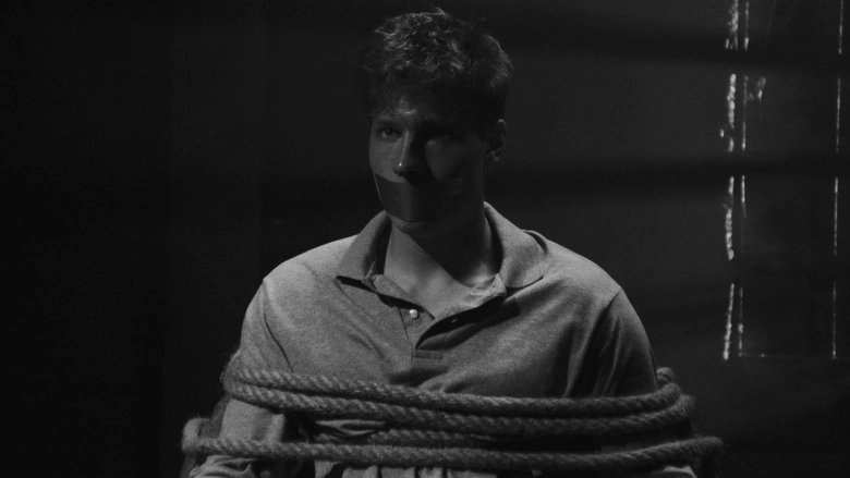 THE VON STEINS (2024)