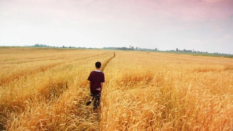 Innocent (2005)