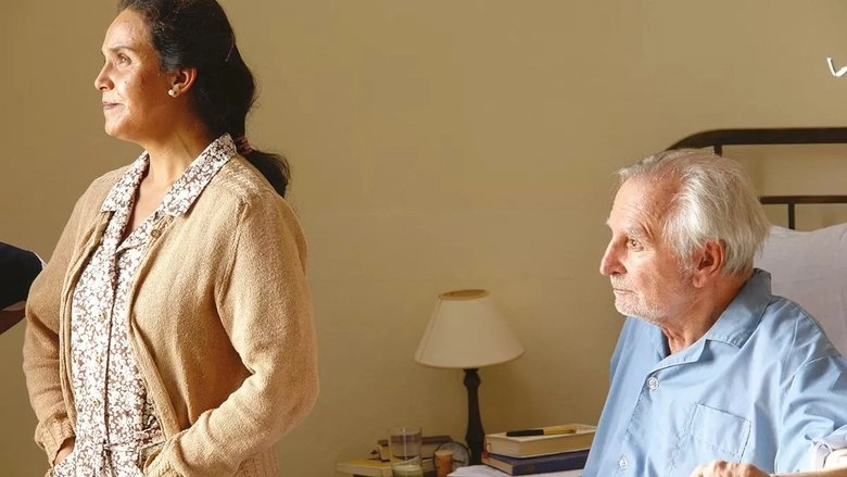 The Window (2009)