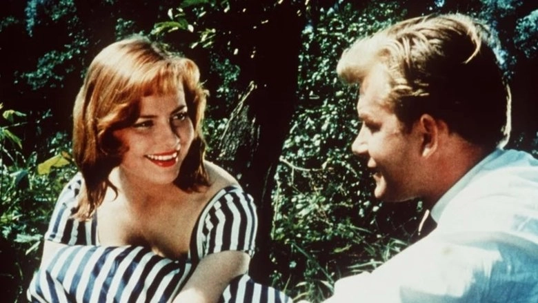 Schicksal Am Lenkrad (1954)