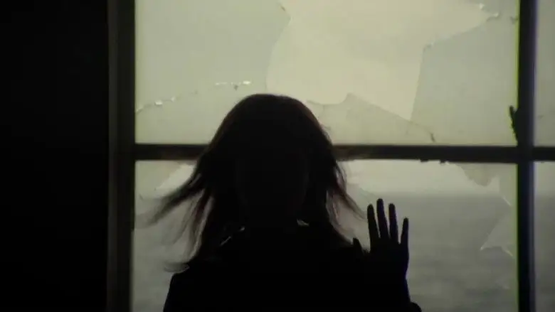 Noriko's Dinner Table (2005)