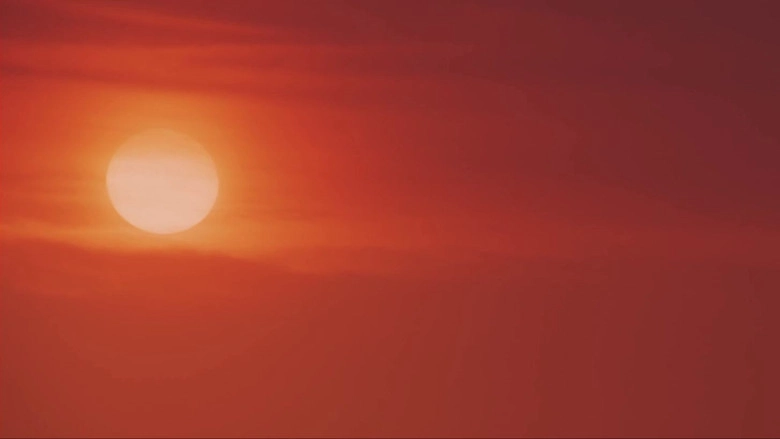 The Snake Prince (1976)