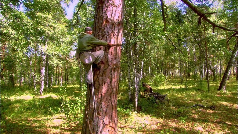 Bitter Honey (2013)