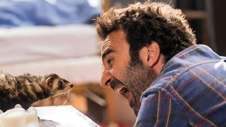 Le Furet (2021)